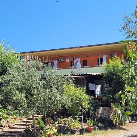 B&B Da Donatella Santa Maria Exterior foto